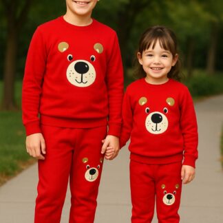 Kids Premium Sweatshirt and Pant set