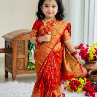 Banarasi Katan Saree