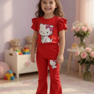 Premium Full pant and T shirt set (Copy)